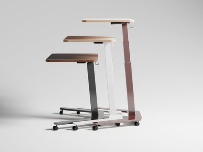 Mobile Laptop Desk