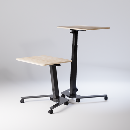 Mobile Laptop Desk