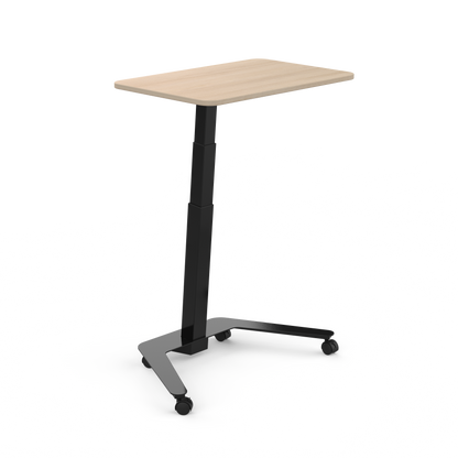 Mobile Laptop Desk